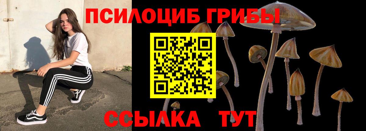 Псилоцибиновые грибы Magic Shrooms  Вход с VPN  Черняховск 